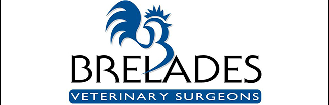 M2 welcomes Brelades Veterinary Surgeons
